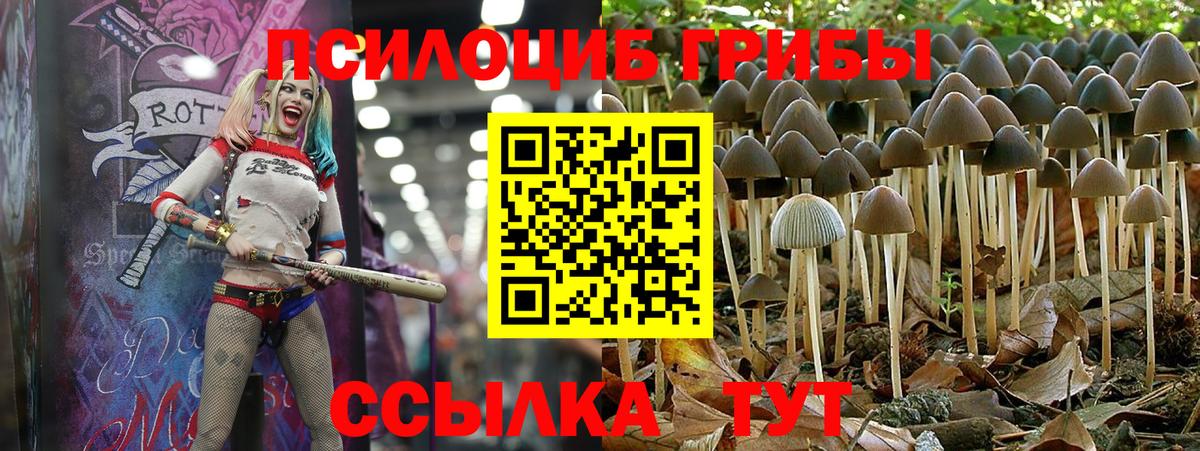 Галлюциногенные грибы Cubensis  наркошоп  Йошкар-Ола  Вход с VPN  Псилоцибиновые грибы мицелий 